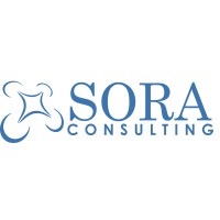 SORA Consulting logo - Similar company to Onesec