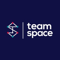Team Space logo - Similar company to Fr3D