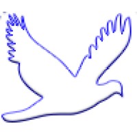 Aseman logo - Similar company to Igg Biolabs