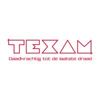 Texam logo - Similar company to Millennialtalent