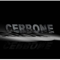 Cerbone Components logo - Similar company to Center Napoli Di D.Car Motors