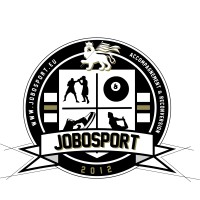 JOBOSPORT logo - Similar company to Onze D'Or - Fc Lausanne-Sport