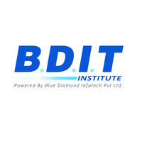 BDIT Institute logo - Similar company to Airtech Academy