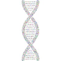 The Fleming BTF Spot logo - Similar company to Renaissance Bioscience Corp.