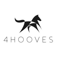Flashy Fox LLC