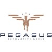 Pegasus Automotive Group logo - Similar company to Bizzarrini