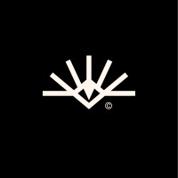 Vizzage Studio© logo - Similar company to Lab Roots