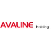 AVALINE Holding Corporation logo