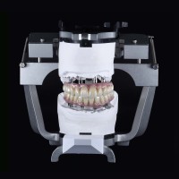 Vision Dental Lab logo - Similar company to Ski Team