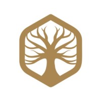 ELEVATE CAPITAL logo - Similar company to Upview Consulting