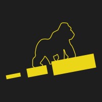 VisionGorilla