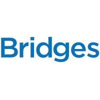 Bridges S.A logo - Similar company to Ecc