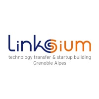 Linksium logo - Similar company to <Jd/> Formation