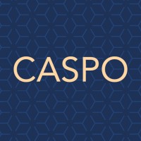 Caspo Ltd. logo - Similar company to Bayview Technologies, Inc