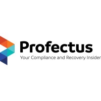 PROFECTUS VIETNAM logo - Similar company to Profectus Group