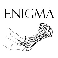 Enigma Journal logo - Similar company to Nefarious Game Studios