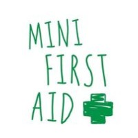 Mini First Aid Durham, Consett, Bishop Auckland And Hartlepool