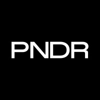 PNDR logo - Similar company to Doctorweb