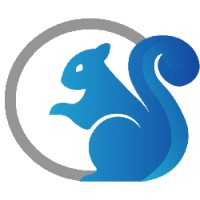 Blue Squirrel Software Ltd logo - Similar company to Mjs It Services