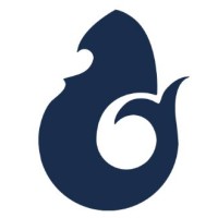 De Vries Maritiem logo - Similar company to Zeilmakerij Mare