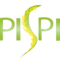 PISPI logo - Similar company to Pispas