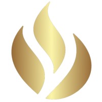 Agency Ignition logo - Similar company to Spine Consulting
