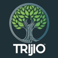 Trijio logo - Similar company to Rs Academy India