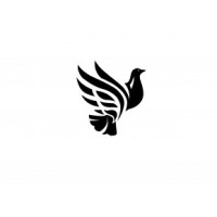Dove Ventures logo - Similar company to Pepper Fund