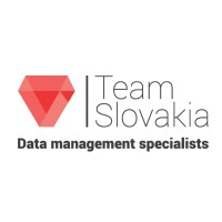 Team Slovakia logo - Similar company to Ferona, A.S.