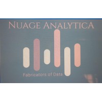 NuageAnalytica logo - Similar company to Knowledge Tribe