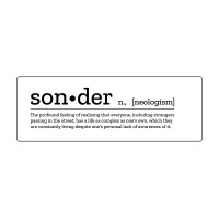 Sonder Associates Limited logo - Similar company to Lucid Systems