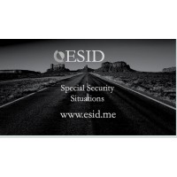 ESID DMCC logo - Similar company to Risk Excellence Professional Services & Consulting