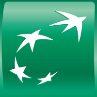 BDSI Maroc logo - Similar company to Techloom
