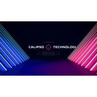 Маркетинговое Агентство Calipso-Technologi logo - Similar company to Pickles Team