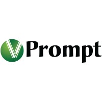 vPrompt eServices Private Limited logo - Similar company to Dmde Secunderabad