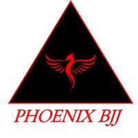 Phoenix BJJ logo - Similar company to The Den - Sports Performance, Fitness, Boxing Crossfit & Bjj