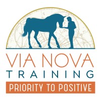 Via Nova Training logo - Similar company to Steed Equine Monitoring Solutions