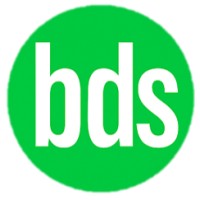 bds auditores logo - Similar company to Applice