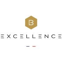 B Excellence logo - Similar company to Dot Limo