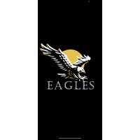 Eagles Car logo - Similar company to Eagles Care