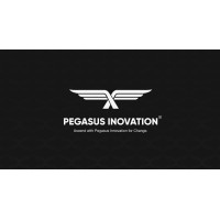 Pegasus Innovation logo - Similar company to Real Software