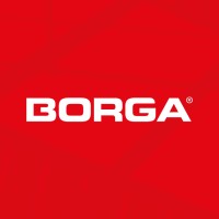 Borga Group logo - Similar company to Arcom Sp.J.