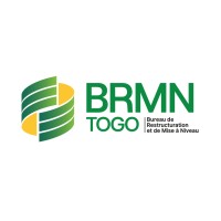 BRMN Togo- Bureau de Restructuration et de Mise à Niveau des Entreprises logo - Similar company to Agence Afrique Digitale