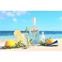 Poseidon Gin logo - Similar company to Executive Bev