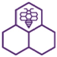 Project Elect: Women in Public Service logo