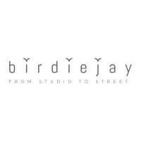 Birdiejay logo - Similar company to Twin Science & Robotics