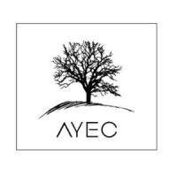 AYEC - Armenian Young Entrepreneurs' Club logo - Similar company to Elevra