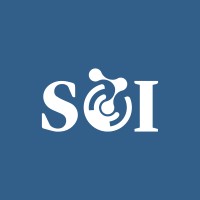 Standard of Implementation logo - Similar company to Kedan Commercial Services Company