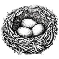 The Perinatal Mental Health Nest logo - Similar company to Inside Out Occupational Therapy Group