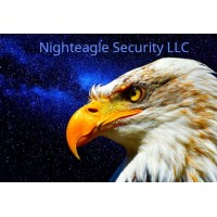 Nighteagle Security LLC logo - Similar company to Tech Skills Transformations